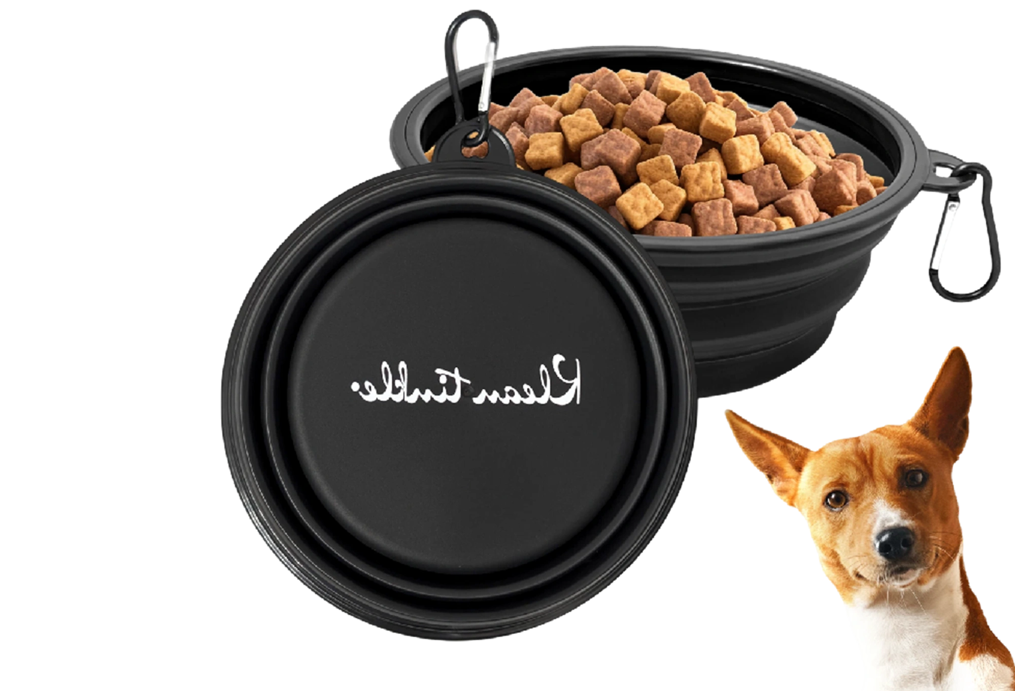 Collapsible Dog Bowl